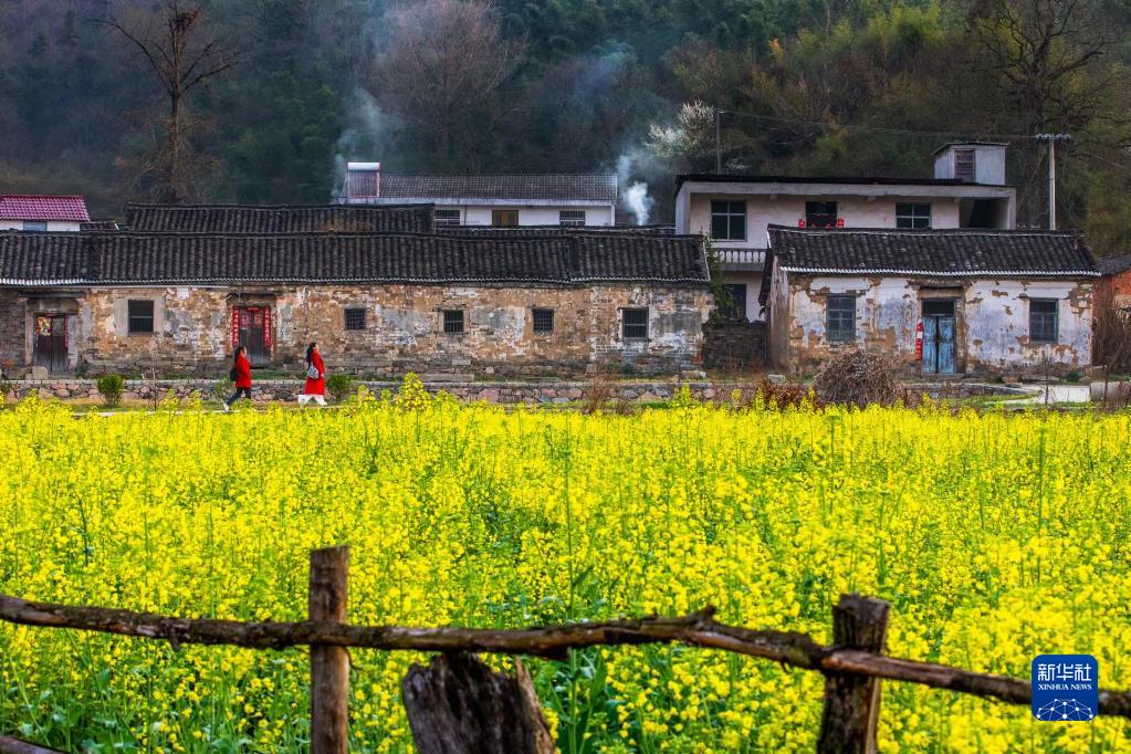 奋进新征程 建功新时代·老区新貌｜产业强、农村美、群众富——今日大别山居图