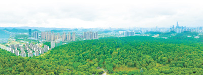 百年林场  城市氧吧（美丽中国·老林场新变化）