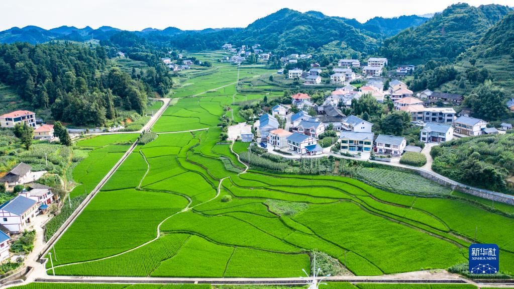奋进新征程 建功新时代·非凡十年丨贵州：开创百姓富、生态美的多彩贵州新未来