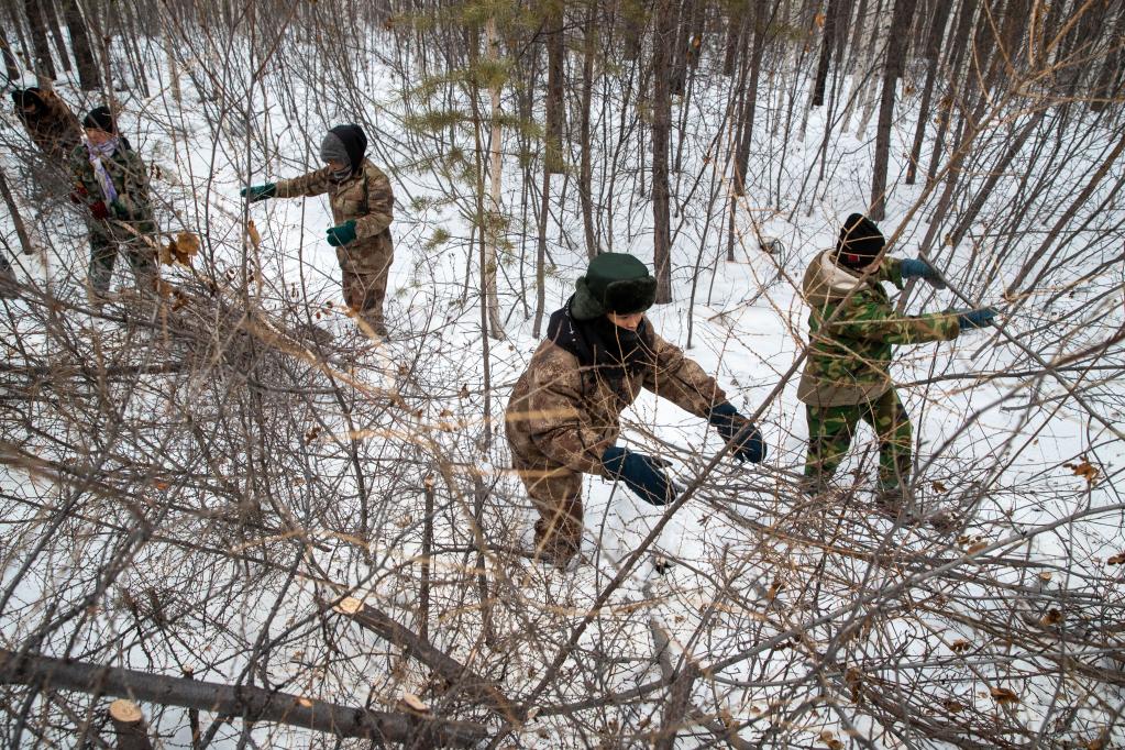 新春走基层丨饮冰踏雪护兴安——走近深山营林人