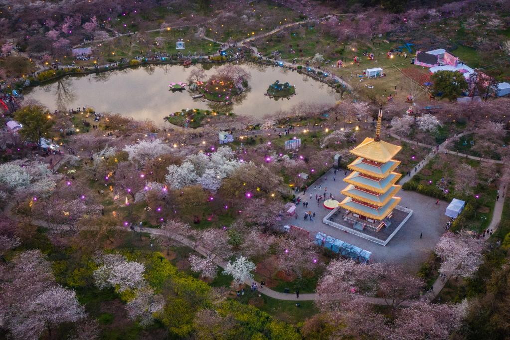 新华全媒+｜武汉：“赏花经济”促旅游市场人气攀升