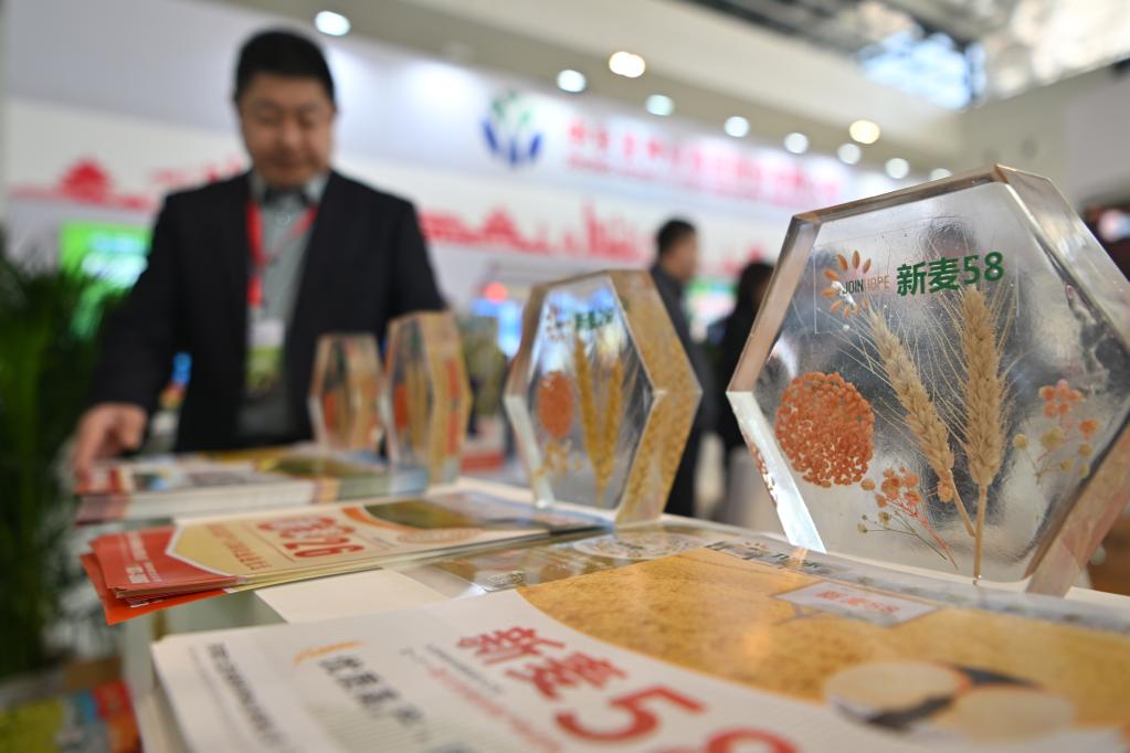 新华全媒+|攥牢种业“芯片”，做强“当家品牌”——种业大会一线观察