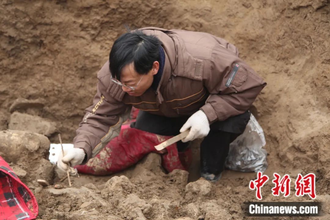 东西问·丝路鉴宝丨何利群：为何说北魏谭副造像是东西文化交融见证？
