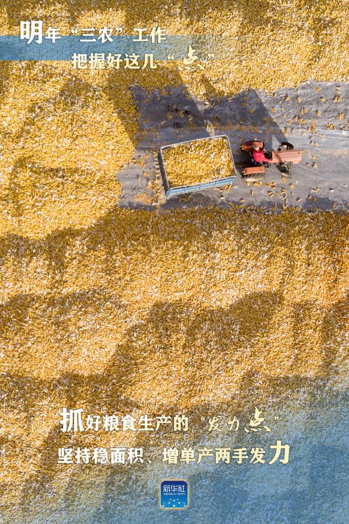 <b>明年“三农”工作，这几个“点”要把握好</b>