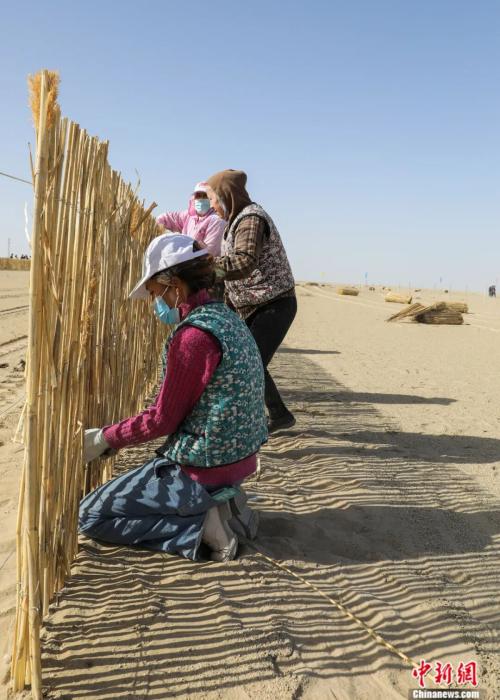 东西问丨王振锡：塔克拉玛干沙漠织就“绿围脖”对生态文明的启示