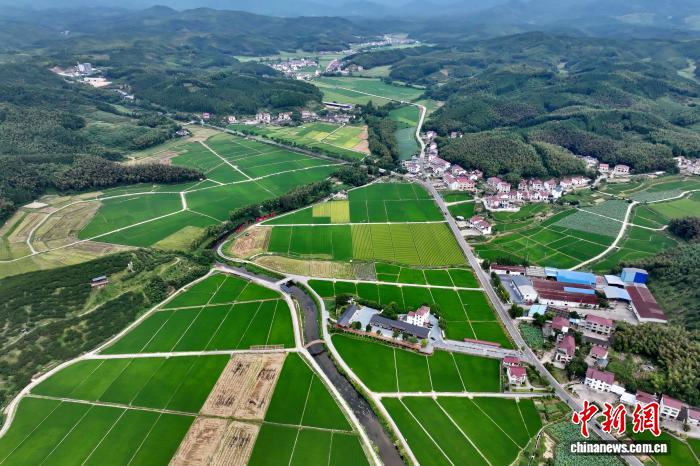 东西问丨韩俊友：为何一粒种子可以改变世界？