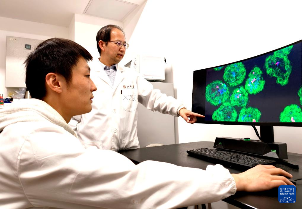 <b>中国科学家创出蛋白靶向降解技术为“隐身”肿瘤细胞打上“身份标签”</b>