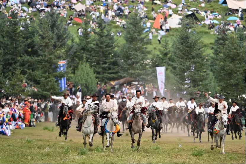 东西问｜满珂：为何说中国西北民族地区“各民族是‘染’在一起的”？