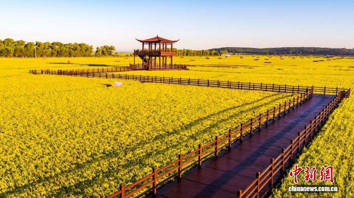 （全国两会）上天入地，AI新农具如何填满“中国饭碗”？