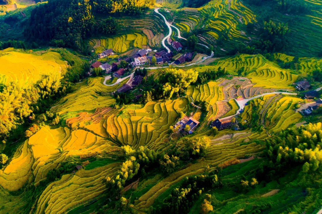 东西问丨闵庆文：紫鹊界梯田，千年农耕实践有何世界意义？