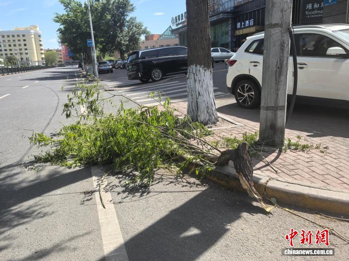 专家解析强对流天气成因 今明两天黑龙江大部还有八级阵风