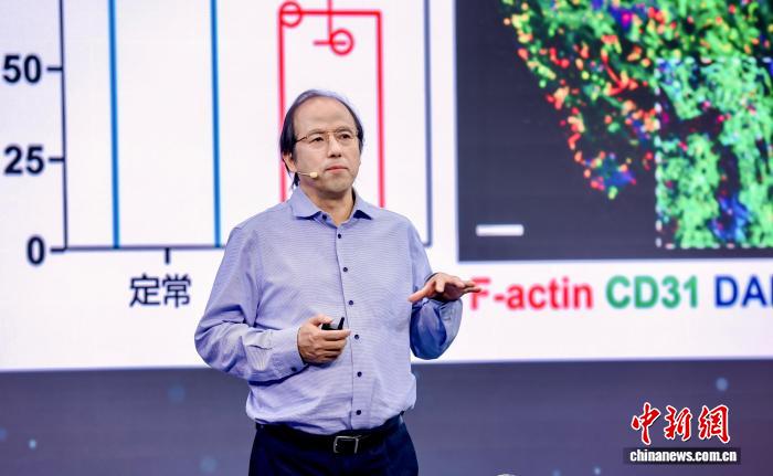<b>中国组织器官生物制造研究：目前发明专利全球第一 科研产出世界前列</b>